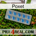 Poxet 22
